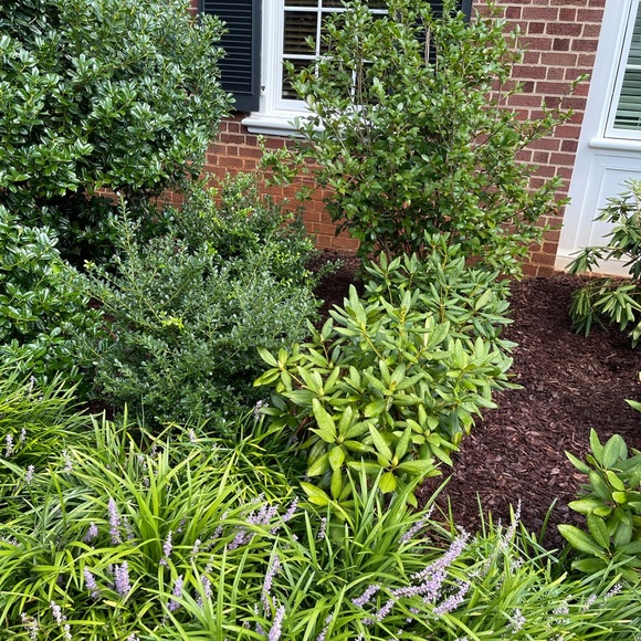 Lgsservices.org - Picture 6 of 16